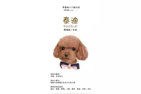 拍照已经OUT啦！自己动手给泰迪画一张吧图片