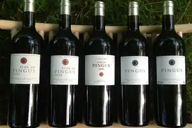 平古斯：西班牙最贵的膜拜酒王图片