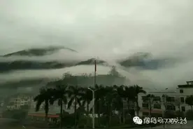 高州马贵风景，你认识几个？图片