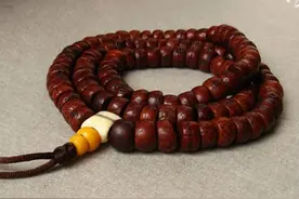 你还在往你的凤眼菩提上上油吗？千万不要再这么做了~图片