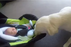 狗狗第一次见到自己的小主人，好奇又兴奋的样子萌翻了图片