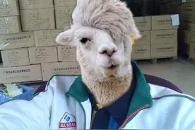 刘海变形很难看？3个妙招让你的刘海乖乖“听话”图片