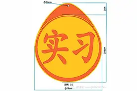 实习标志原来不用花钱 （自己动手）图片