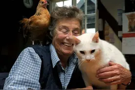 跨越种族和年龄的友谊：农场里10岁公猫与2个半月小鸡成好友！图片