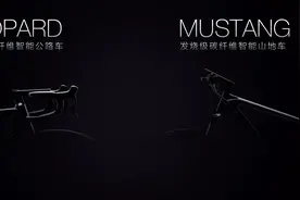 据说这是目前最“客观”的野兽碳纤维自行车测评图片