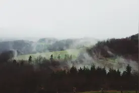 他和父亲设局诈骗轻松赚万元，遭报应后算命先生给他出了个馊主意图片