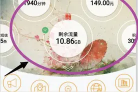 电信、移动、联通网厅App晒“绝活”图片
