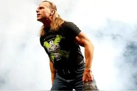 WWE史上五大身材气质明星，巨石强森上榜 第一竟是他！图片