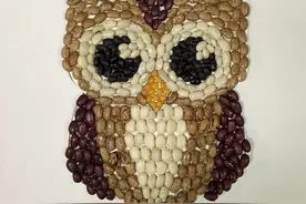 万万没想到！种子拼贴画可以这么漂亮（密集恐惧症慎入）图片