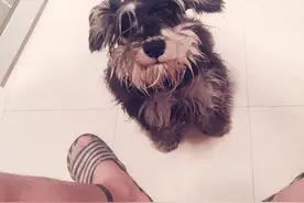 我来上个厕所，你这样我尴尬症又得犯了~~我是起还是不起？图片