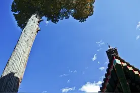 是不是男人的心里只有一个女人图片