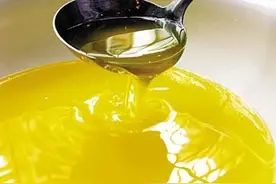 315食品安全受关注 黔态山茶油掀健康消费潮图片
