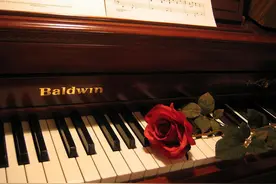 分享最近听得比较多的几首胎教钢琴曲图片