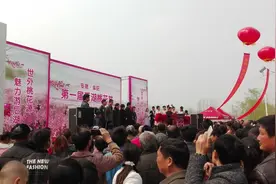 安徽阜南第一届后湖桃花艺术节隆重开幕！首日引万人观赏图片