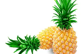 吃菠萝不能太任性图片