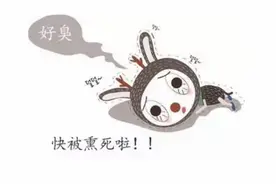 新车内异味怎么破，这些方法你造吗？图片