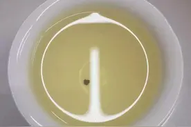 铁观音药用泡法“防晕船晕机”老茶农经验分享图片