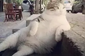 这几种故障就别去4S店被坑了，完全可以自行解决！图片