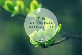 中考考点：八年级下册20首古诗词及重点字词解释（人教版）图片