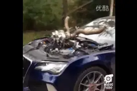 全世界最快的一部奥迪RS7可能就是这一部吧....图片