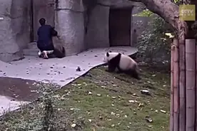 别闹了，该吃药了！倒数第二张让我笑喷了图片