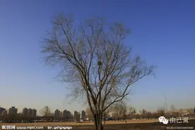 我深爱，你的素颜之美图片