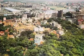 东坑远远不止卖身节，“地头蛇”带你一天玩尽东坑！图片