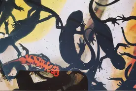 蝾螈当宠物  老板说没毒专家说有毒图片