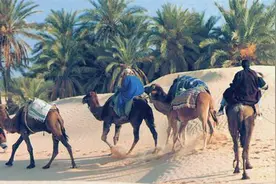 去阿拉伯国家之前需要知道的14件事图片