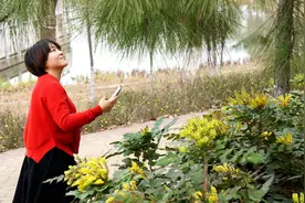 老婆，我欠你一场春暖花开图片