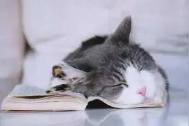 揭秘梦境寓意！梦不仅能预示富贵，也能预示生死！图片