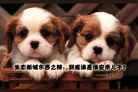 生态新城东西片区：到底谁是淮安亲儿子？图片