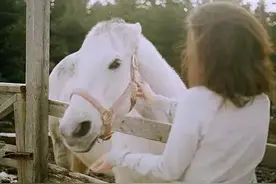 宁愿骄傲的沉默，也不愿委屈的诉说图片