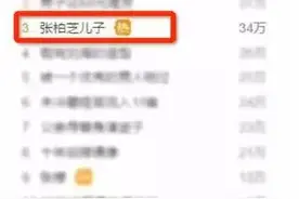 张柏芝大儿子Lucas长大了，哥哥力不输给诺一吼图片