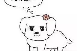 东莞人学生时代做过的傻事，做过一件都觉得不堪回首！图片