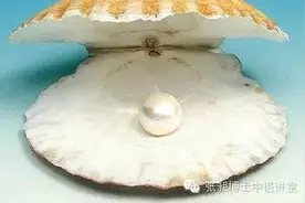 珍珠可治疗宫颈糜烂图片