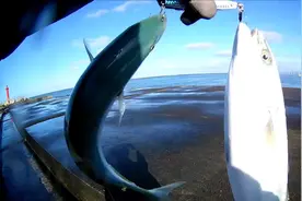 铁板路亚视频 海岸岸抛铁板7大神饵，大家来看看，经典款图片