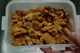 海钓鱼饵：急冻蚬肉加强版 矶钓视频教学 钓鱼技巧图片