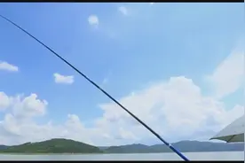 如何调控垂调的牵引力 让饵料不挂底 这招应该很多人没听说过视频封面