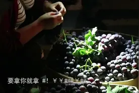 农村小伙和父亲凌晨4点到果蔬市场卖葡萄，2分钟卖光，但心里并不痛快图片