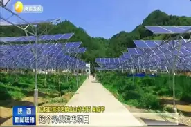商洛山阳：发扬蜜蜂精神 助力产业扶贫视频封面