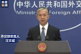 外交部：中方决定香港特区暂停港加、港澳、港英《移交逃犯协定》《刑事司法互助协定》图片