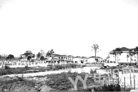 小墨山核电厂址居民喜迁别墅图片