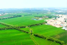 长春市宽城区委书记李炜姝到兰家镇调研视频封面