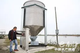 广州南沙一水产养殖基地用“机器人”养鱼 效率提升六倍图片