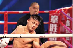 拳胜格斗首战告捷 勇闯国际化新征程图片
