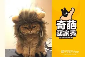 喵星人戴上假发，每个造型都是表情包！图片