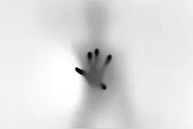 你努力的时候，请别给别人添乱图片