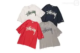 女生专属！Stussy x Champion 2016 春夏 T-Shirt 系列图片