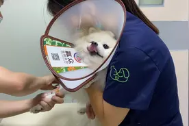 6分多种的视频~记录财哥忙碌的一天之做超声波洁牙的全过程~视频封面